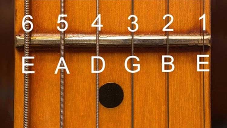 Guitar Strings Depicted