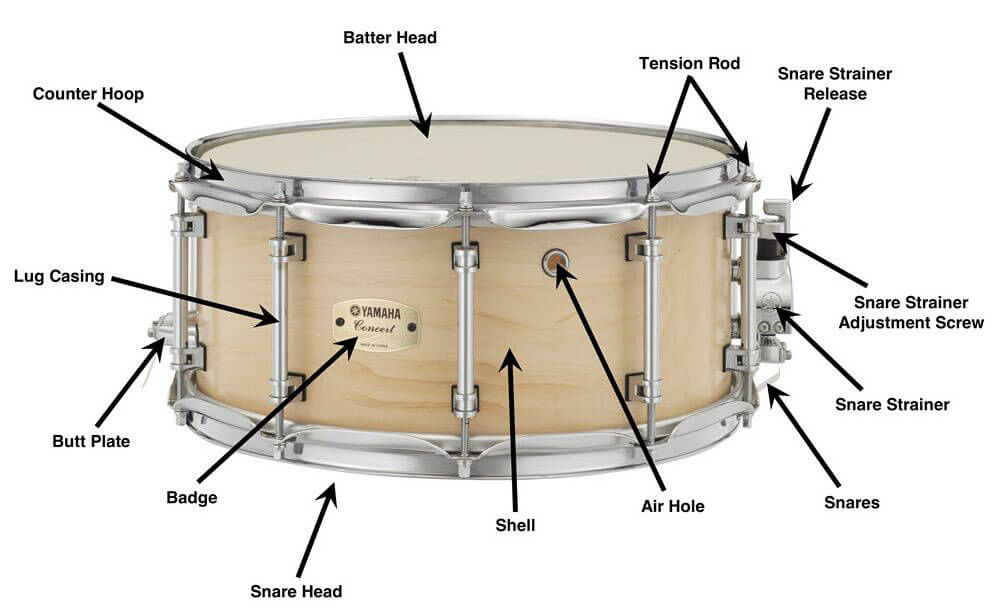 Snare's Parts