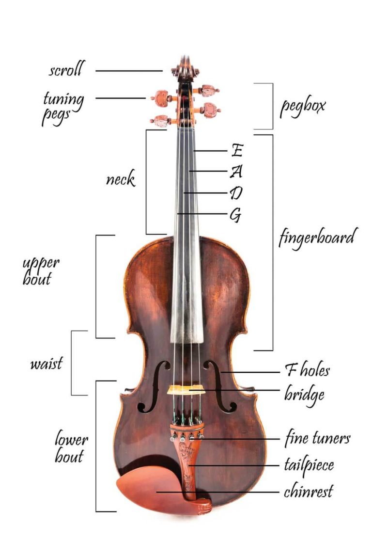 Violin Parts Depicted